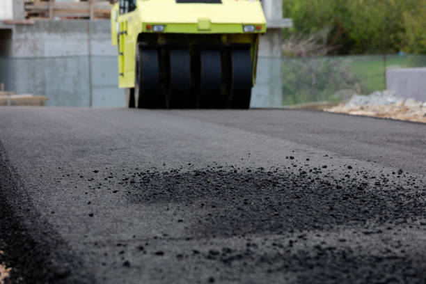 Best Professional Driveway Pavers  in Shenandoah Farms, VA